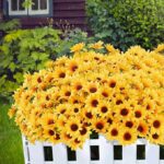 VRB Dec 4pcs Artificial Sunflowers Flowers Bunch for Decoration,Flowers for vase,Artificial Sunflower Flowers,Fake Bunch Decorative Items for Home,Diwali,Bedroom,Room. (4Pcs Sunflower Bunch)