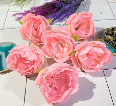 81pSMxqlmpL._SX679_