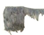 VRB Dec Natural Hackle Pointed Dyed Feathers Trim Fringe Lace Art/Craft/DIY (3-5 Inch) (9 Meters).