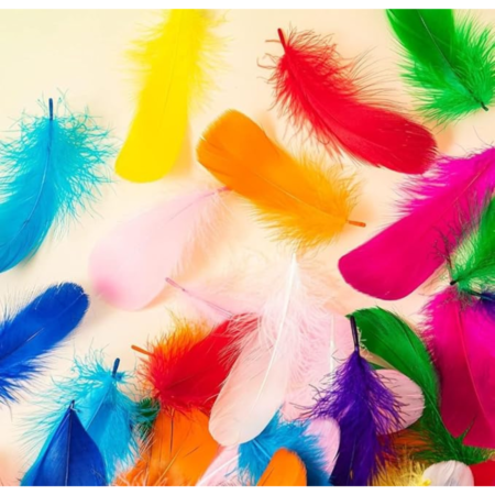 VRB Dec 90 Pcs Natural Dyed Feathers for Crafts/Craft Materials/Art and Craft kit & Dream Catcher Making Feathers for Kids Handmade Wedding DIY Decorations Natural Feather.