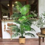 VRB Dec 1 Pcs Artificial Areca Plants with Pot Plants Leaves Tree Tropical 12 Palm Leaves Faux Areca Palm Plants Indoor Real Touch Monstera Plant for Home/Decor.