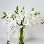 White Color