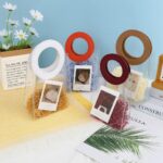 20x18x10 Small Circle Transparent Leather Handle Bag